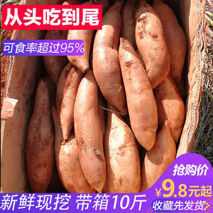 云南天山新鲜雪莲果10斤红心特级水果整箱包邮雪连果一级5孕妇甜