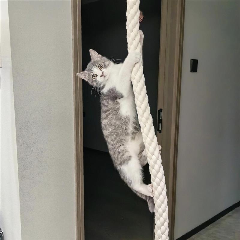 猫咪攀爬绳架小户型不占地通天绳宠物猫爬绳磨爪解闷玩具麻绳厂家