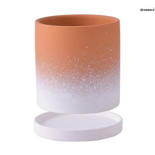 。肉肉花盆多肉造景桌面小盆栽专用好看的新款陶瓷仙人掌北欧长寿