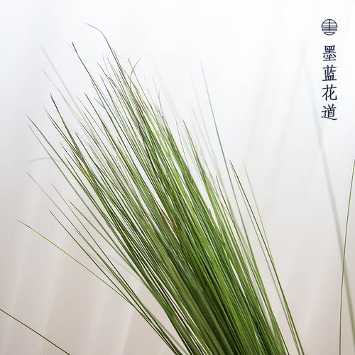 钢草中式日式花道插花流月盛花