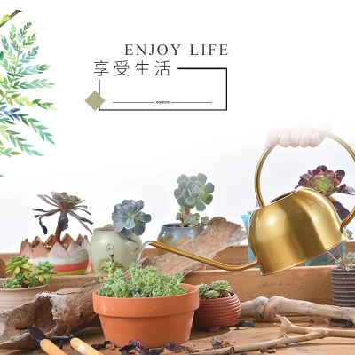 复古长嘴浇水壶欧式不锈钢盆栽