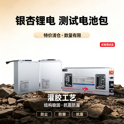 银杏电池特价锂电池60V72V容量30AH-100AH两轮车三轮车用磷酸铁锂