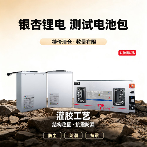 银杏电池特价锂电池60V72V容量30AH-100AH两轮车三轮车用磷酸铁锂