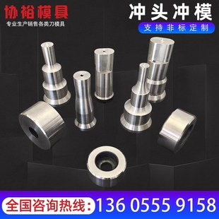 联合冲剪机冲头冲床液压冲孔机冲压机冲压腰孔冲模模具 非标定做