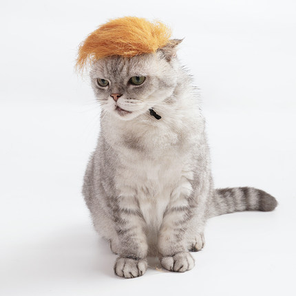宠物帽子搞怪猫咪狗狗毛绒帽子假发头套黄毛拍照道具节日氛围头饰