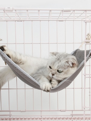 吉仔仔猫吊床挂式笼子用网格猫咪趴窝荡秋千玩具睡床窝宠物用品