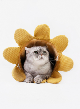 吉仔仔猫咪隧道滚地龙四季宠物床玩具猫窝跑道爬道可折叠帐篷用品