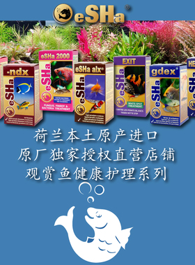 荷兰艾莎原产授权直营2000交叉感染头洞exit白点胡椒单腮白便