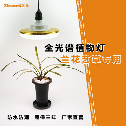 兰花艺草兰草植物补光灯多肉全光谱绿植花卉专用生长室内大棚