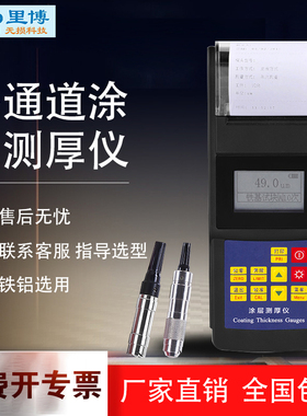 电镀涂层测厚仪leeb242铁铝两用喷涂电镀油漆塑料涂层厚度检测