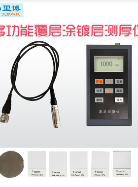 重庆里博LT100-3涂层测厚仪镀锌层测厚仪小量程漆膜测厚仪