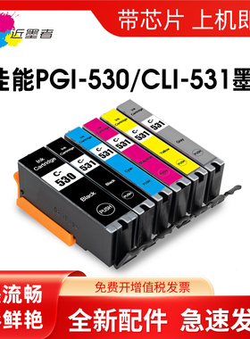 近墨者 适用佳能BCI-530PGBK BCI-531墨盒CANON PIXUS TS8750 TS8751打印机墨盒日本型号BCI-531BK C M Y