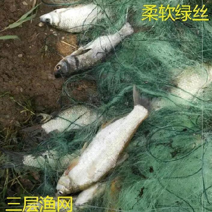 三层沉网加重流水网鱼网粘网一指急流水T加粗大鱼浮网粘鱼网不缠