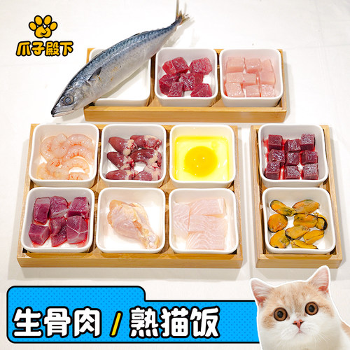 爪子殿下自制生肉宠物幼猫