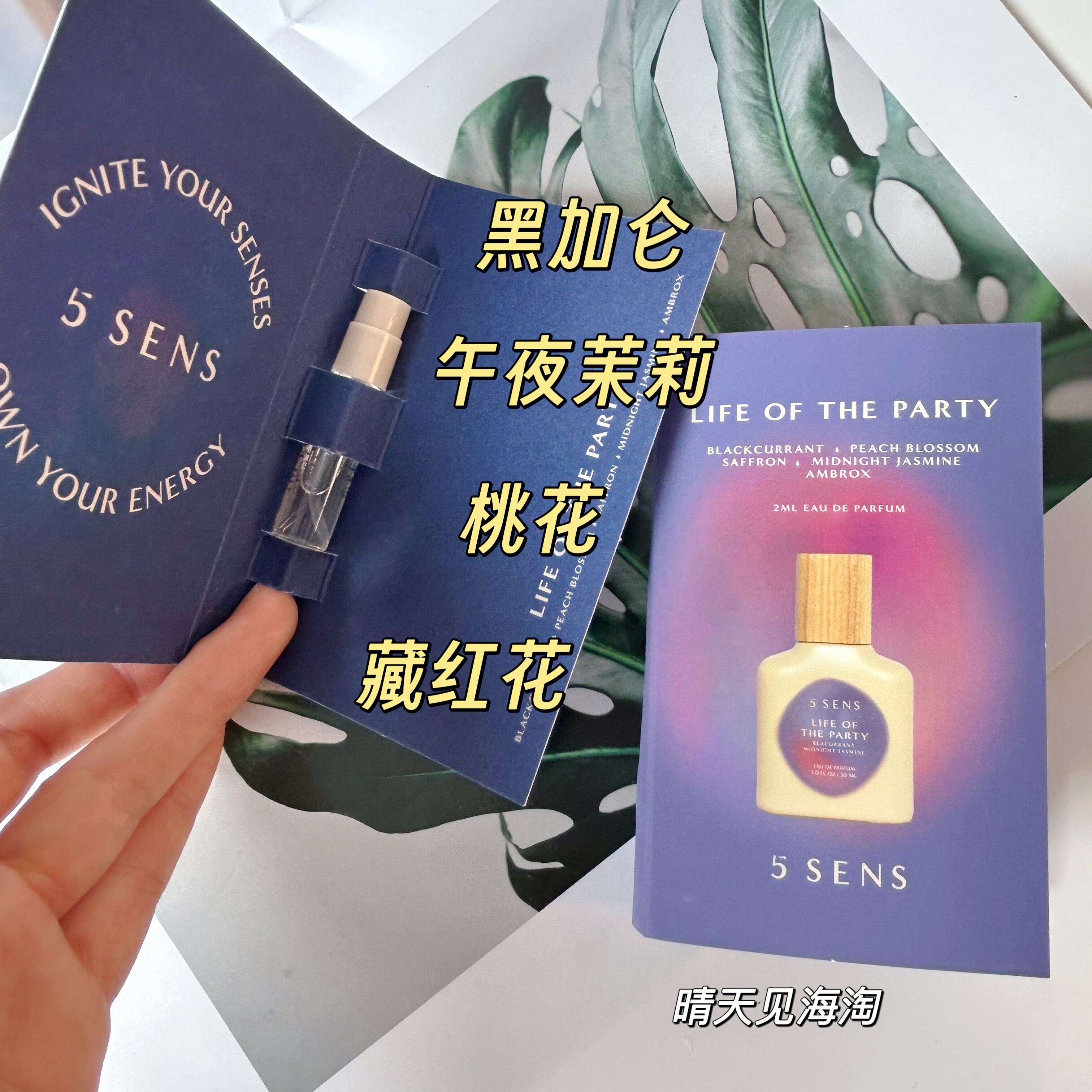 美国小众品牌 5 SENS Life of the Party 原装试管香水2ml,彩妆/香水/美妆工具,试香礼盒/工具,淘宝优惠券,粉丝福利购,淘宝优惠卷