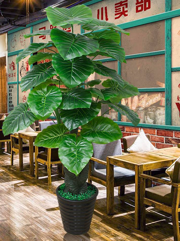 仿真绿植滴水观音植物假花摆设室内装饰塑料发财树客厅摆件落地跨
