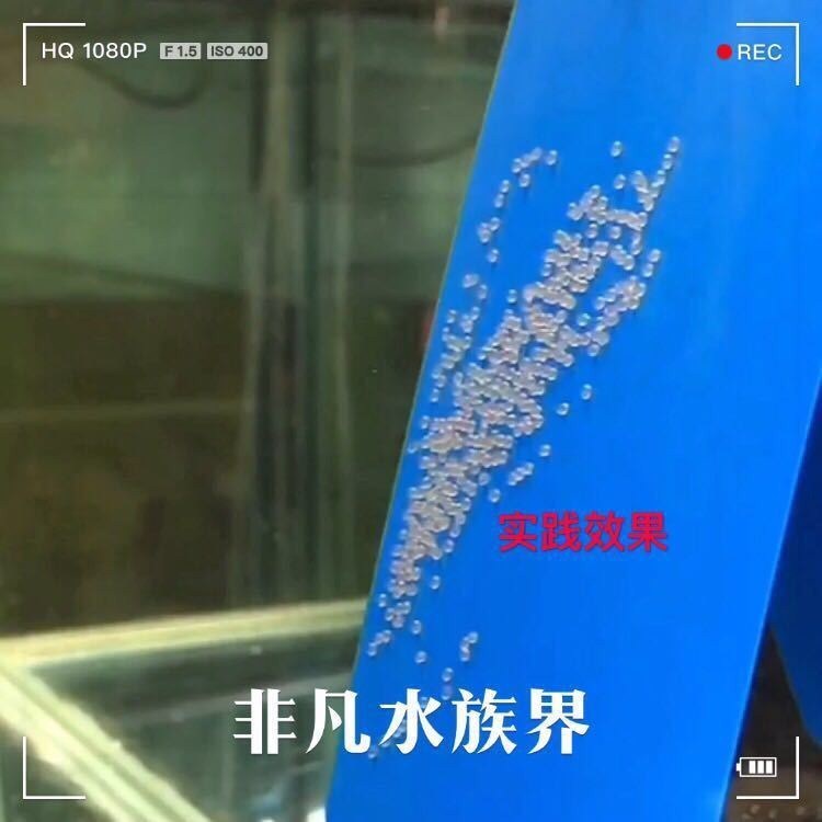 神仙鱼燕鱼繁殖板七彩神仙鱼繁殖罐产卵板繁殖罐产卵罐孵化器