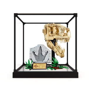 亚克力展示盒适用乐高76964恐龙化石霸王龙头骨模型合金框收纳盒