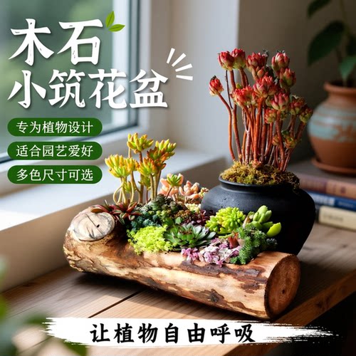 漂亮木桩多肉花盆新款轻奢高级感