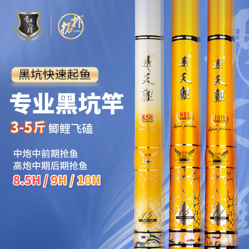 快速上鱼飞天鲤怡隆黑坑专用