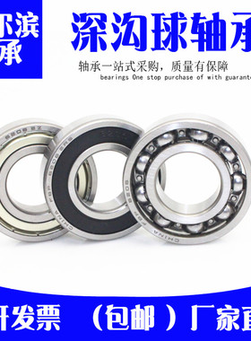 哈尔滨轴承61900 61901 61902 61903 61904 61905 61906 RS ZZ DU