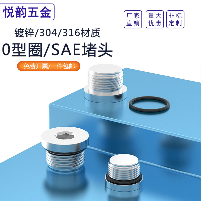 镀锌内六角法兰密封丝堵