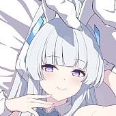 C103 Reia 碧蓝档案 生盐诺亚ノア兔女郎 二次元周边等身抱枕套