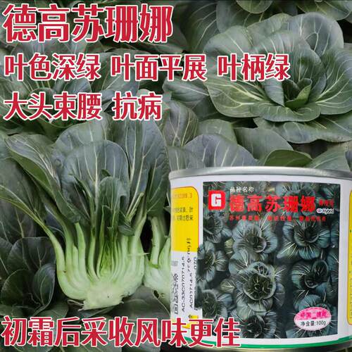 德高苏珊娜青菜种子黑叶苏州青耐寒抗病 矮脚蔬菜