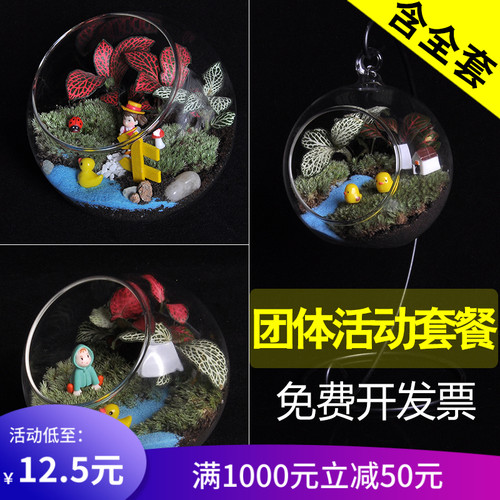 多肉植物diy素材模板 多肉植物diy图片下载 小麦优选 多肉植物diy素材模板 多肉植物diy图片下载 小麦优选