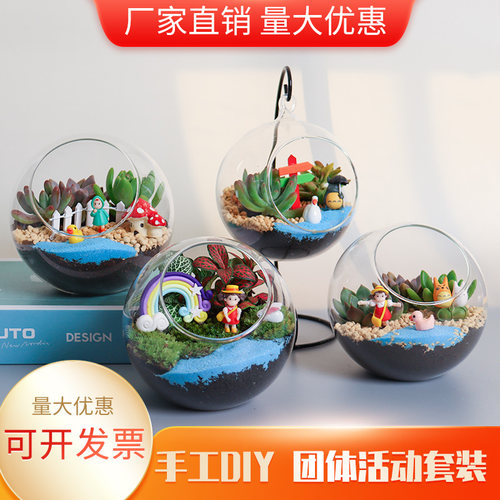 微景观DIY玻璃瓶材料包手工多肉