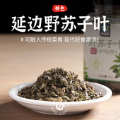 韩清园 延边野苏子叶干货炖鱼炖肉煲汤狗酱牛肉汤酱干野菜调味料