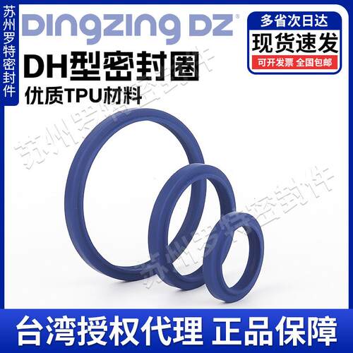 进口DZ鼎基DH防尘圈LBH密封圈