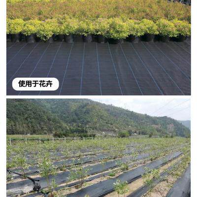 防草布全新PE抗老化农用除草布果园果树盖草园艺地布片透气保湿