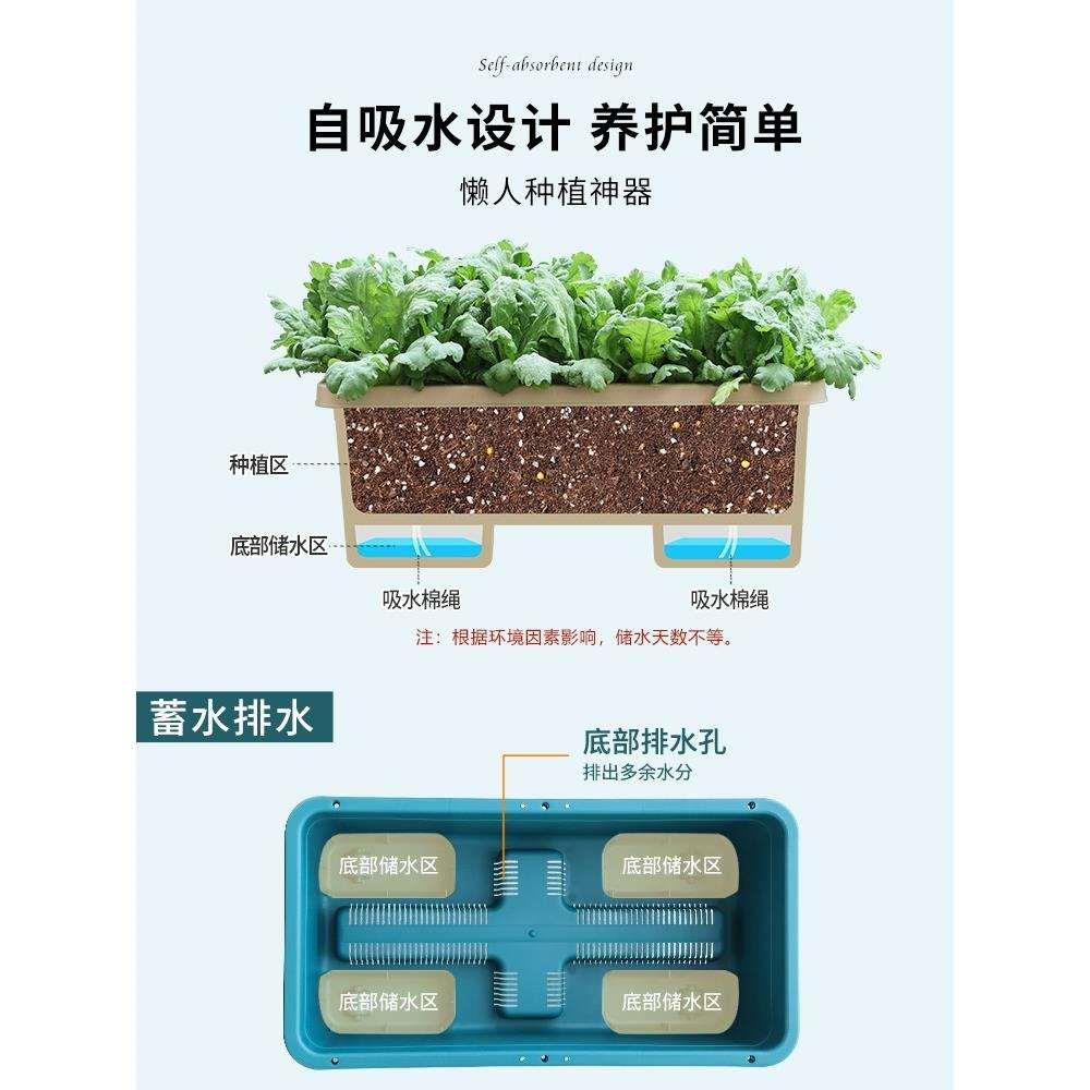 阳台种菜盆懒人花盆家用蔬菜种植箱花卉专用箱长方形大菜盆塑料盆