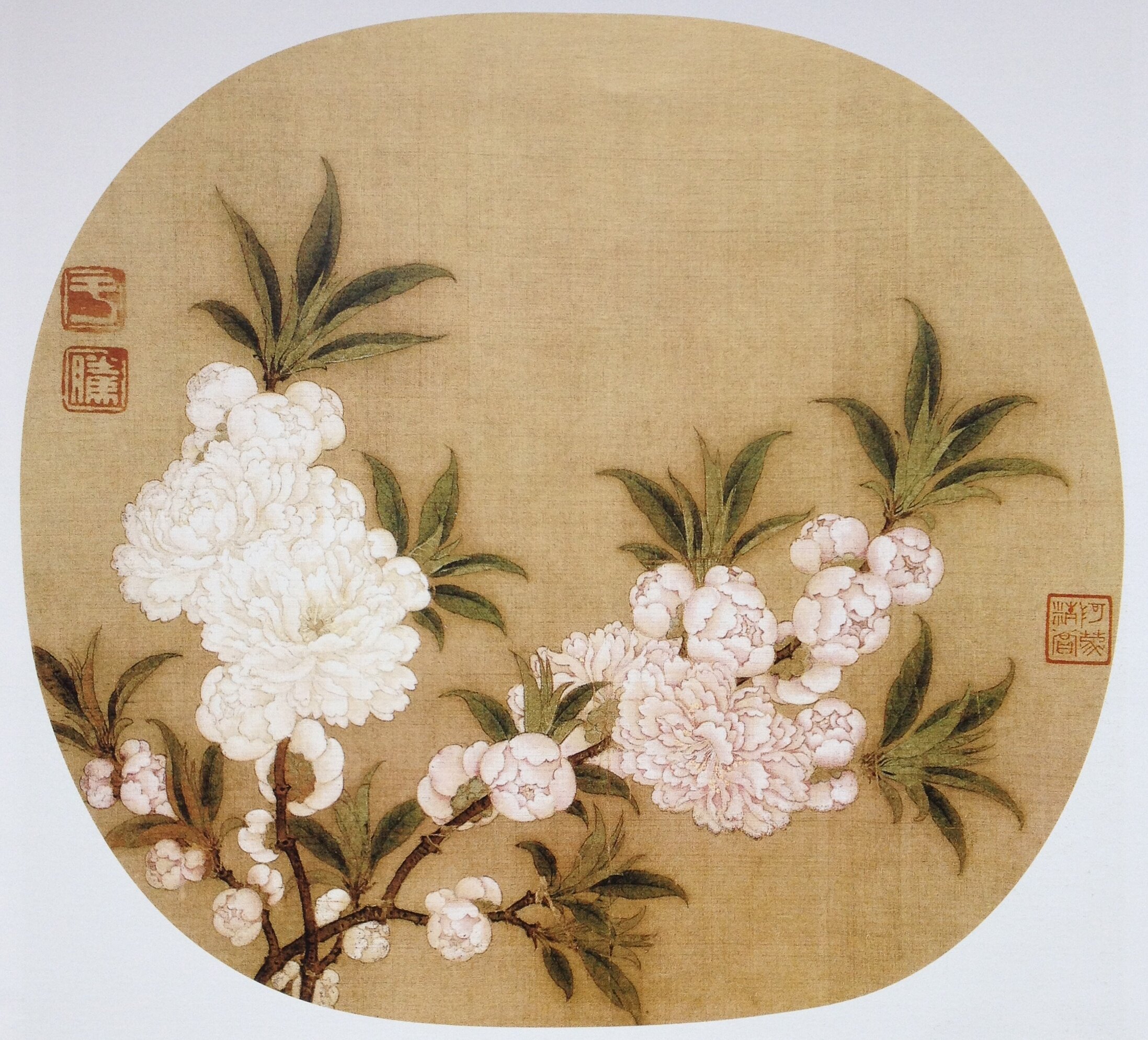 工笔国画底稿宋佚名碧桃图白描32#打印稿宣纸稿有步骤图文字视频