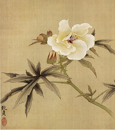 工笔画底稿 俞致贞工笔花卉秋葵图小品参考白描15#打印稿宣纸稿