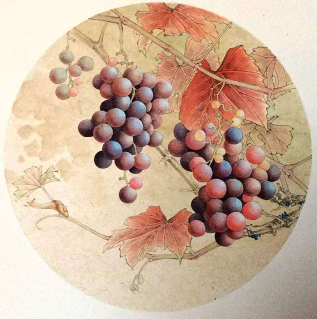 工笔画底稿 葡萄蜗牛团扇白描34#打印稿毛笔勾线宣纸稿