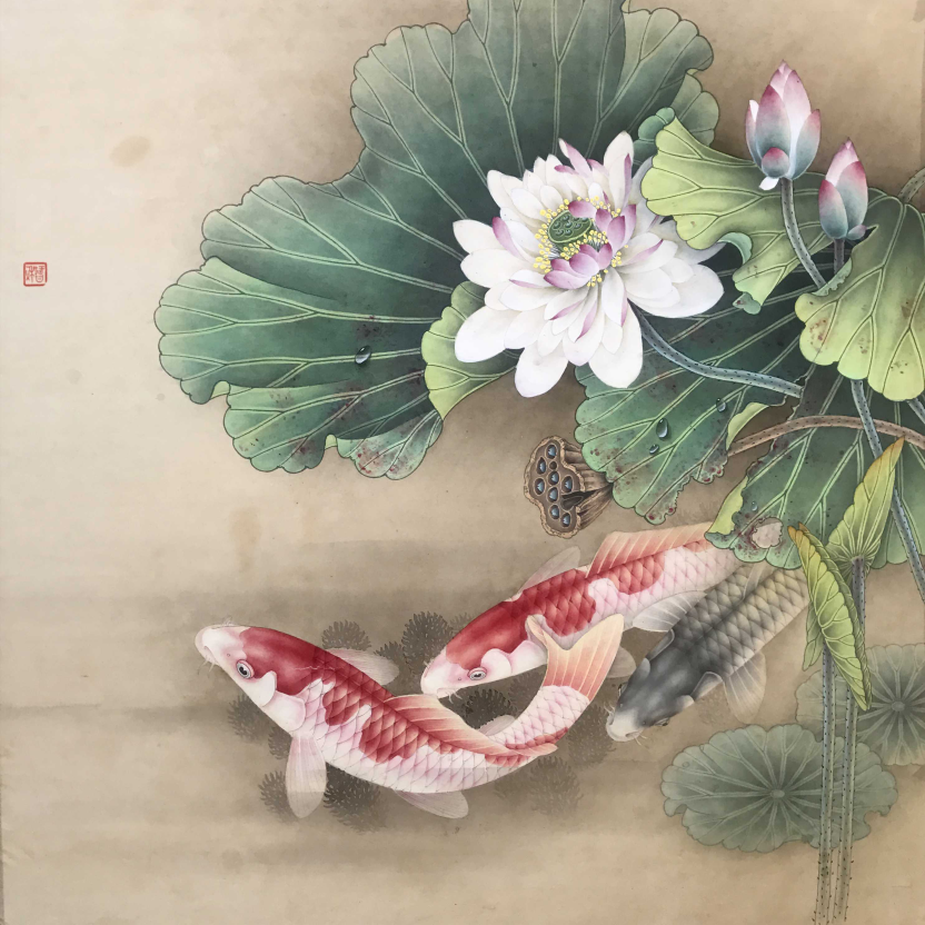 工笔画底稿 荷花鲤鱼斗方 白描17#打印稿毛笔勾线宣纸稿学习临摹
