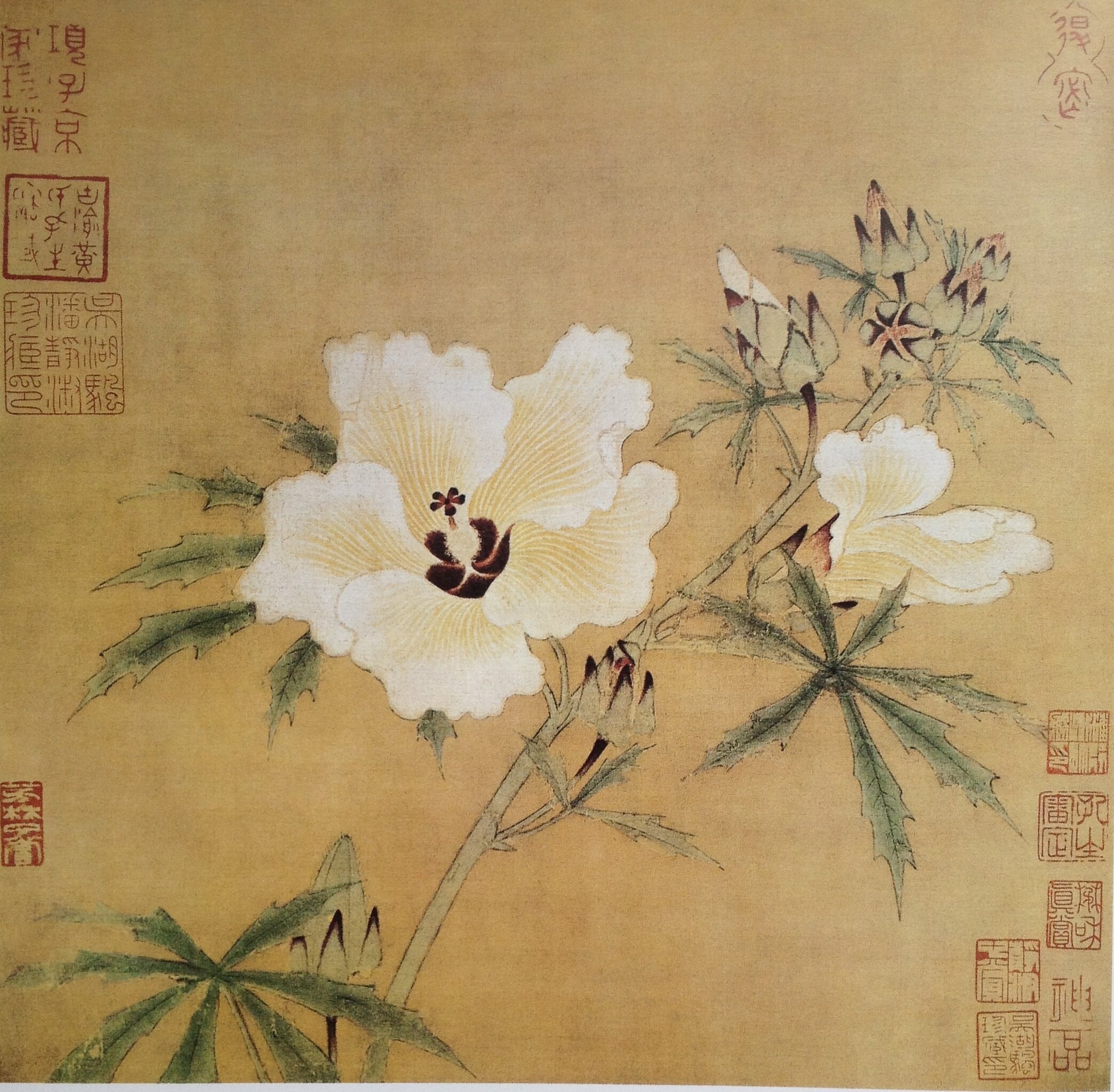 工笔国画底稿 宋 佚名 秋葵图白描18#打印稿宣纸稿有步骤图 文字