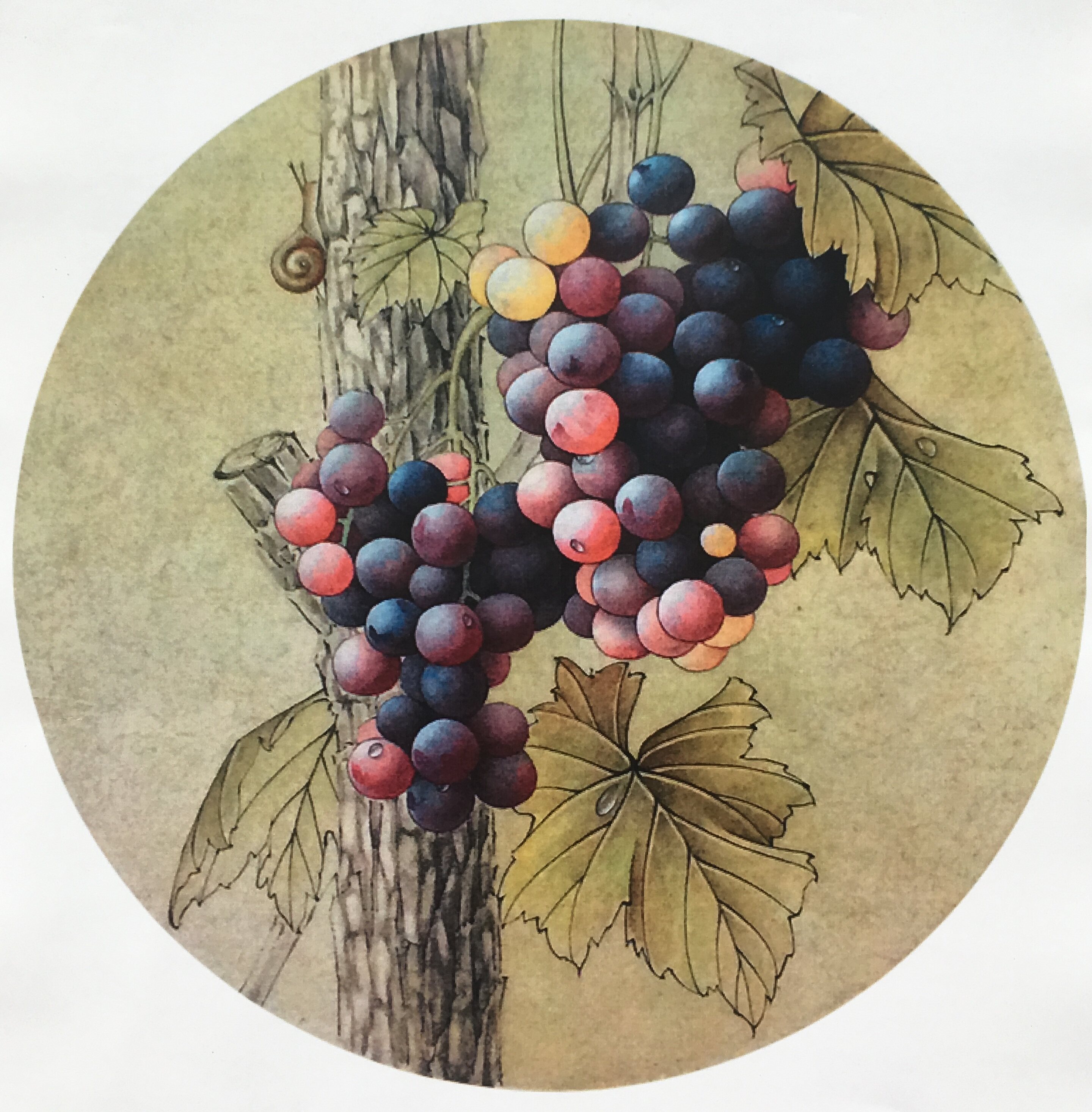 工笔画底稿 葡萄蜗牛团扇 小品白描23#打印稿水墨学习临摹