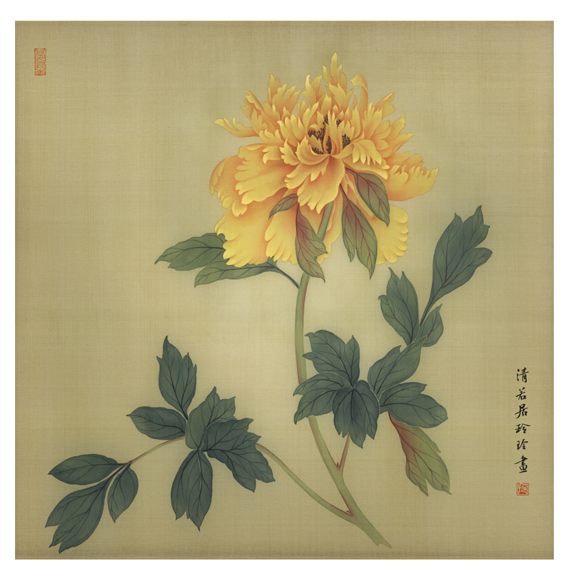 工笔画底稿牡丹斗方小品白描宣纸