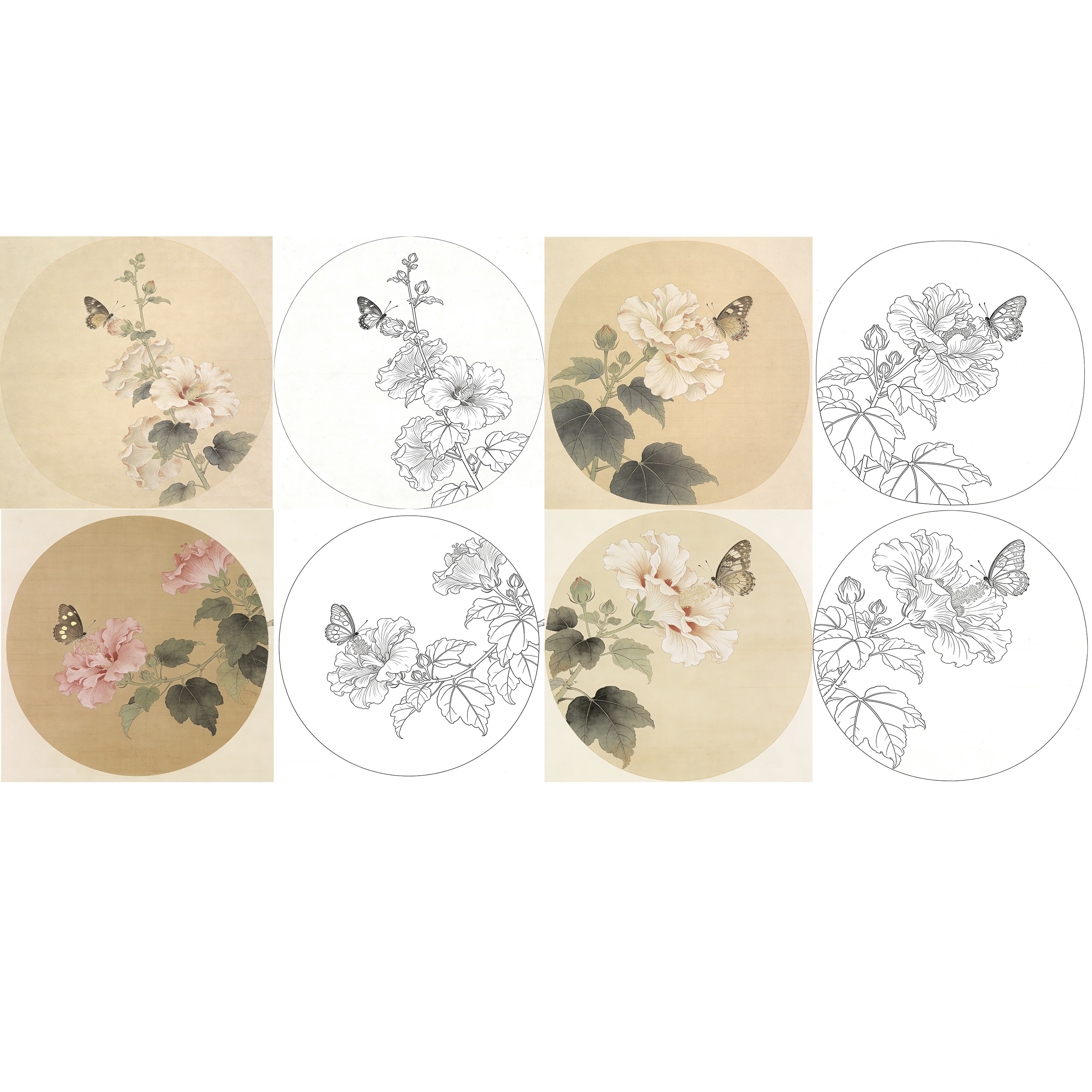 工笔画底稿工笔花卉芙蓉蝴蝶团扇国画