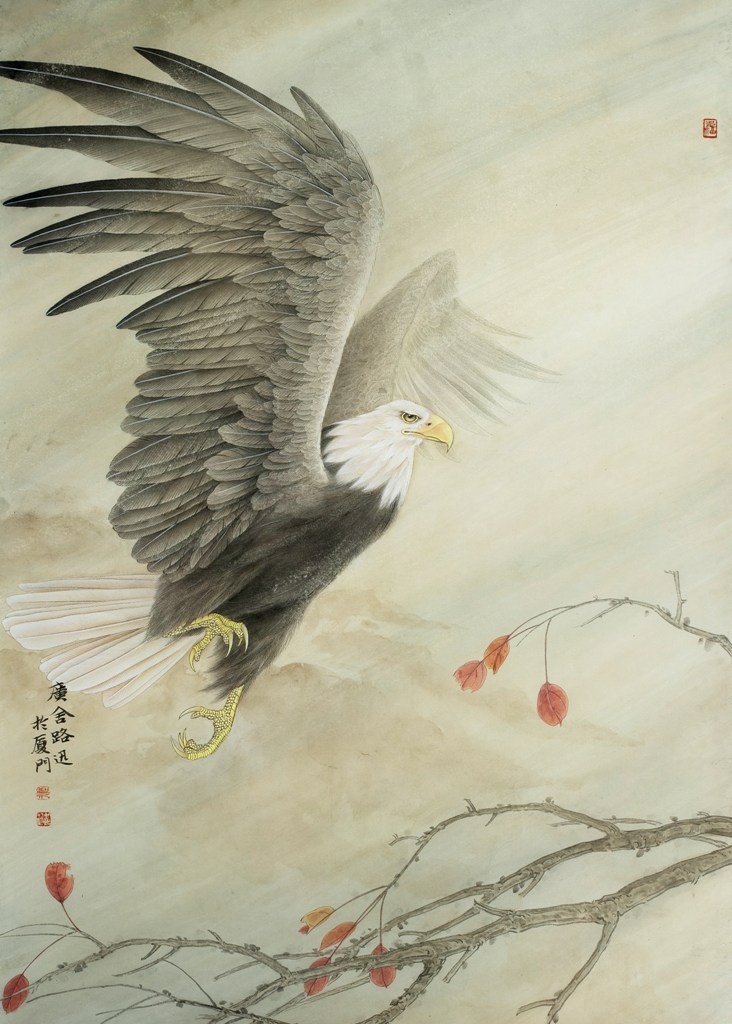 工笔画底稿鹰 白描4#打印稿  有步骤图文字学习临摹