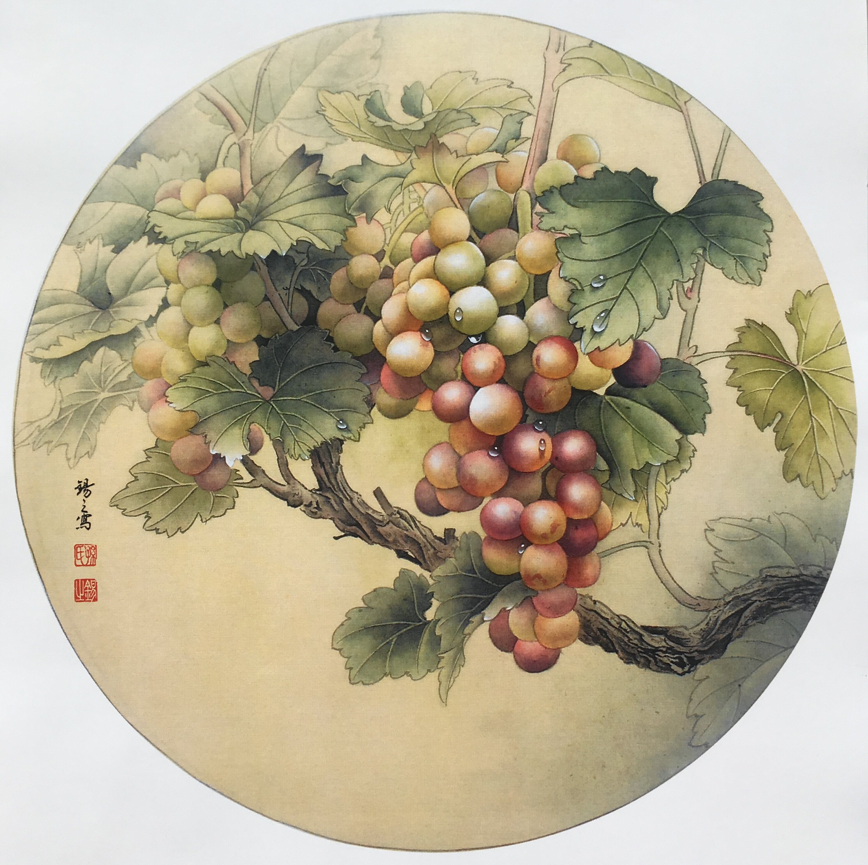 工笔画底稿葡萄蜗牛团扇白描打印稿26#毛笔勾线宣纸稿