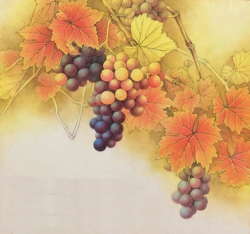 工笔画底稿葡萄斗方小品 白描 打印稿毛笔勾线宣纸稿67#