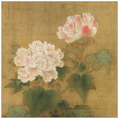 工笔画底稿李迪红芙蓉白描宣纸