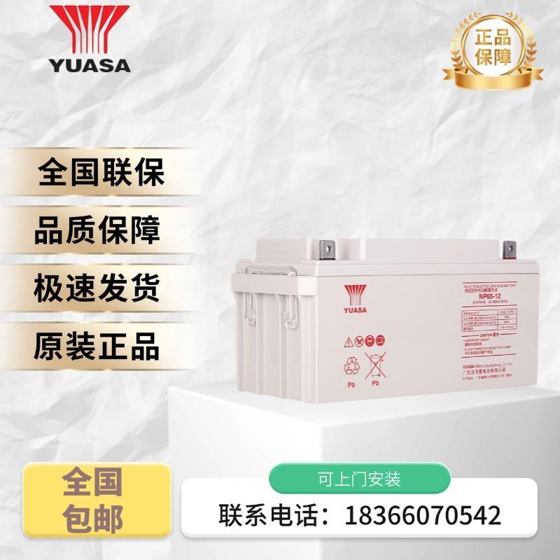 汤浅铅酸免维护蓄电池NP12V24ah/65ah/100ah/120ah/150ah/200ah