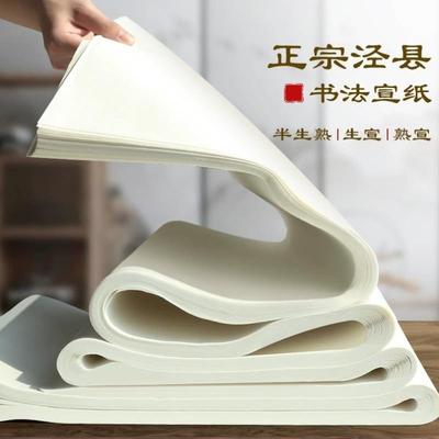 加厚宣纸半生半熟宣纸书法专用纸初学者毛笔字纸工笔画国画专用生