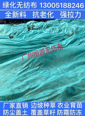 绿色无纺布绿化透气膜园林施工场地防尘罩布草坪护坡边边坡种植无