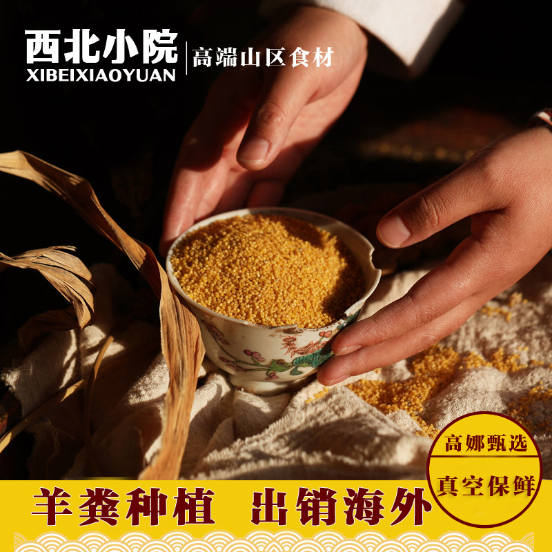 西北小院｜2025新米黄小米小黄米小米粥2500g（羊粪种植 营养高）